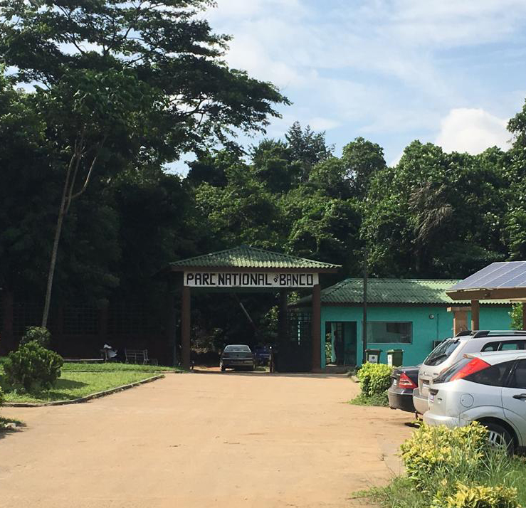 Article : Trois heures de marche et d&rsquo;air frais dans la forêt du Banco
